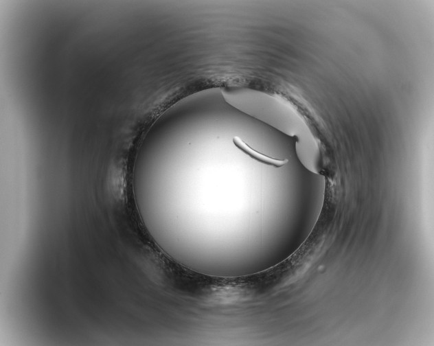 X0000096710259200802051427