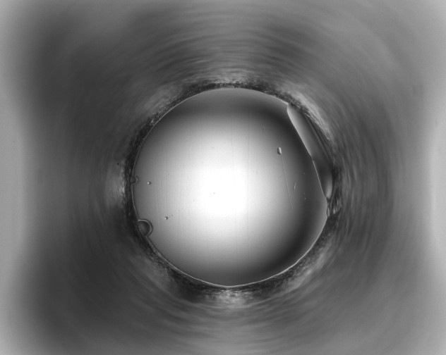 X0000096710261200802051427