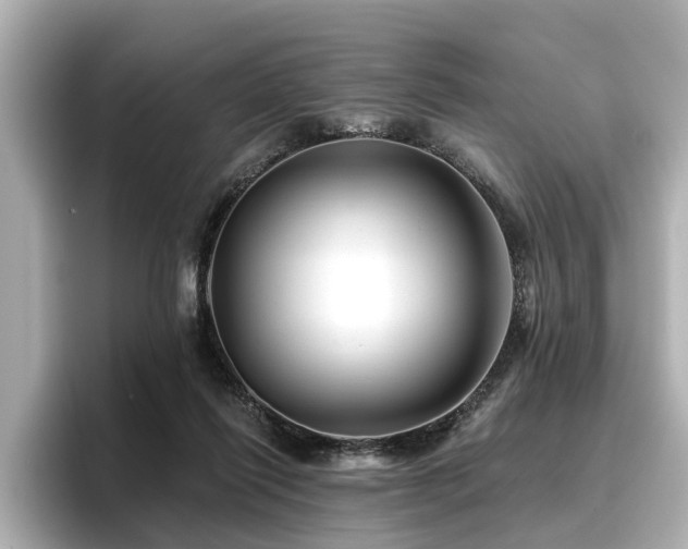 X0000096710262200802051427