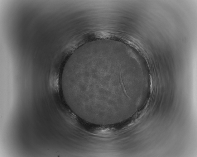 X0000096710267200802051428