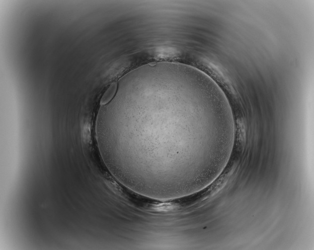 X0000096710269200802051428