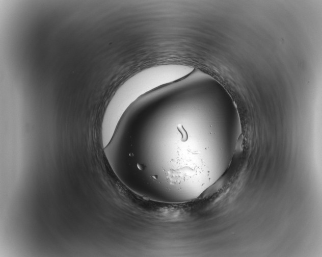 X0000096710272200802051428