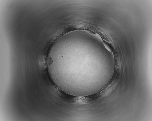 X0000096710273200802051428