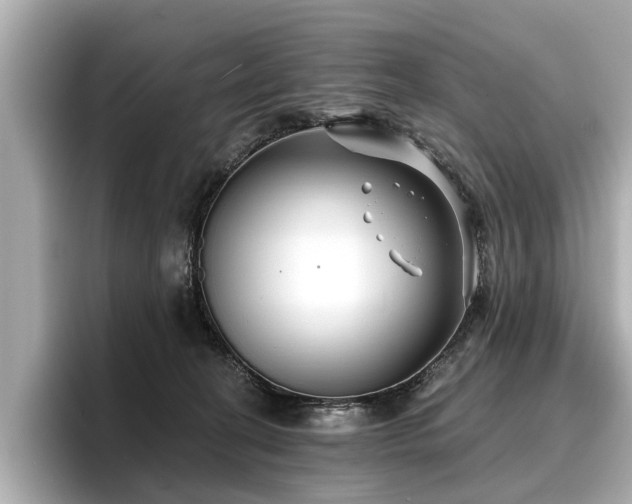 X0000096710274200802051428