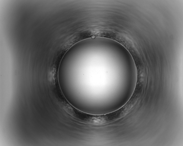 X0000096710275200802051428