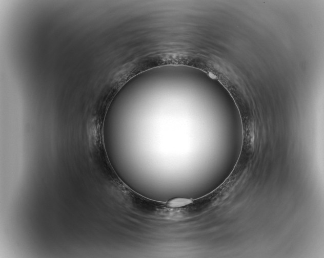 X0000096710276200802051428