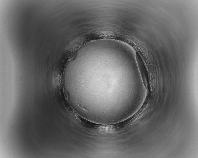 X0000096710281200802051428