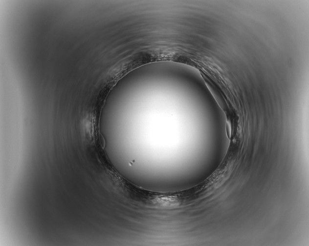 X0000096710283200802051428