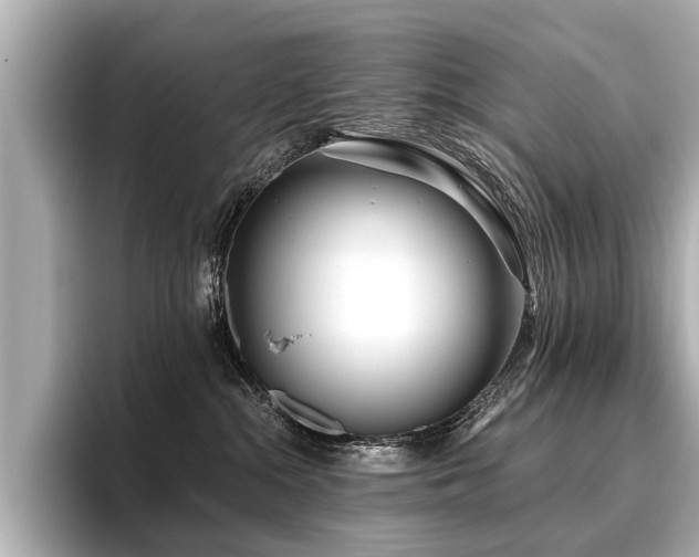 X0000096710284200802051428