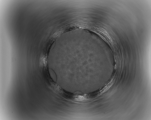 X0000096710285200802051428