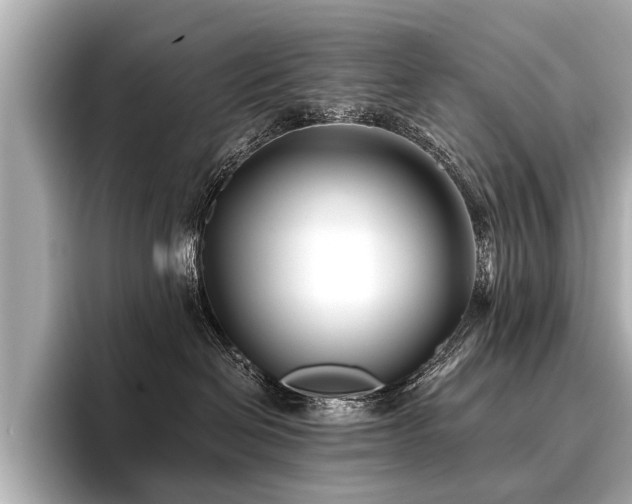 X0000096710286200802051428