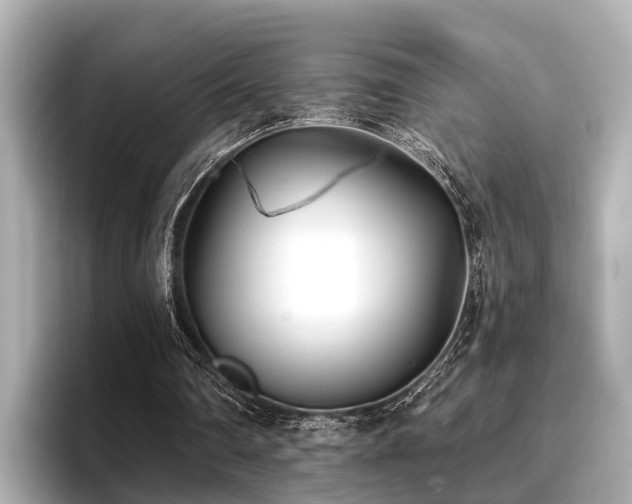 X0000096710290200802051427