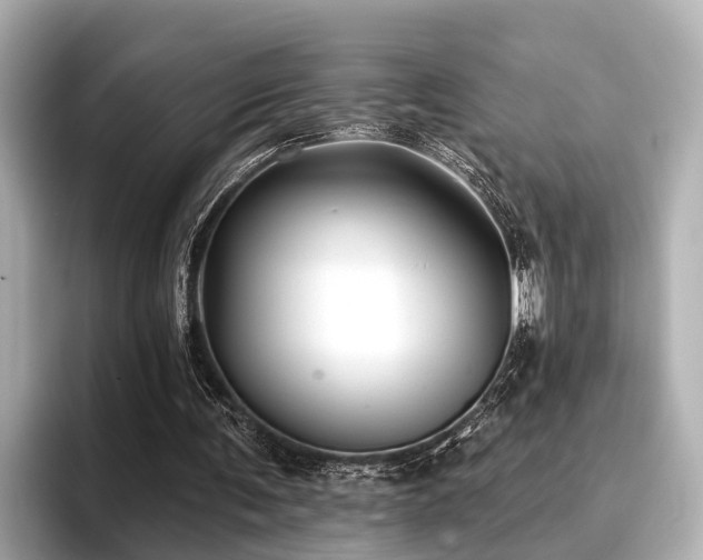 X0000096710291200802051427