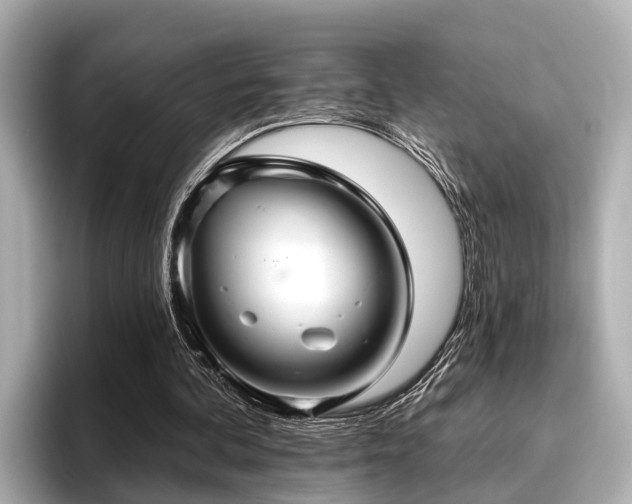 X0000096710292200802051427