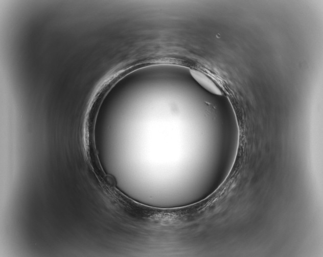 X0000096710294200802051427