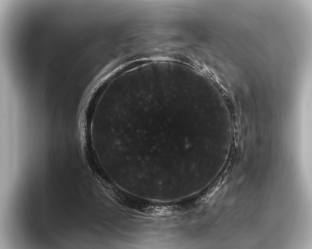 X0000096710295200802051427