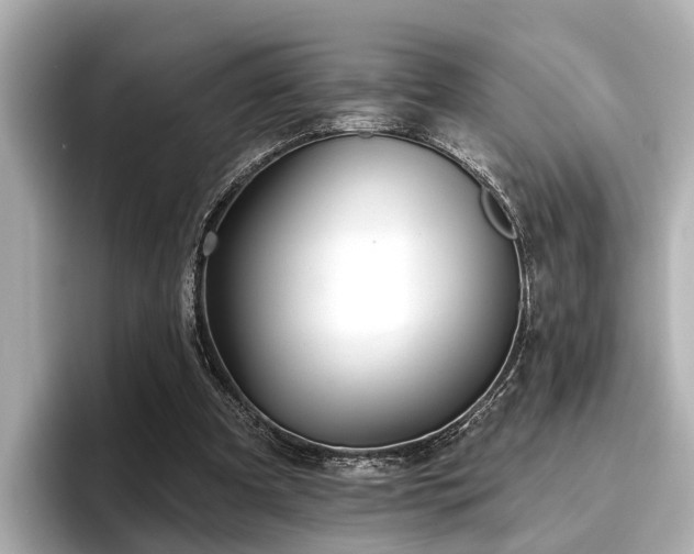 X0000096710297200802051427