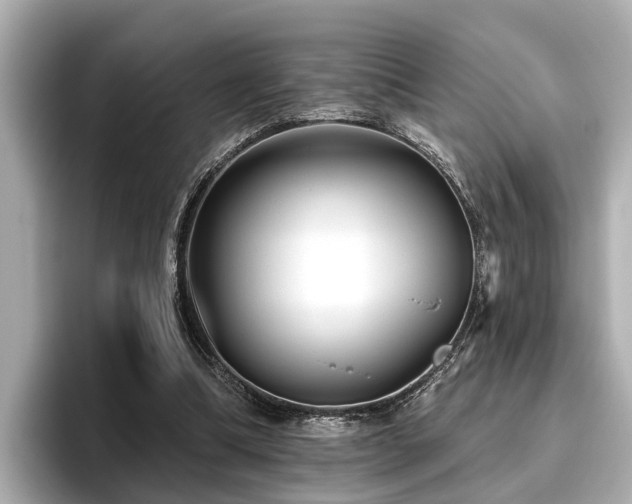 X0000096710298200802051427