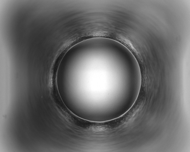 X0000096710299200802051427