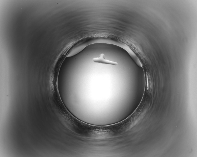 X0000096710300200802051427