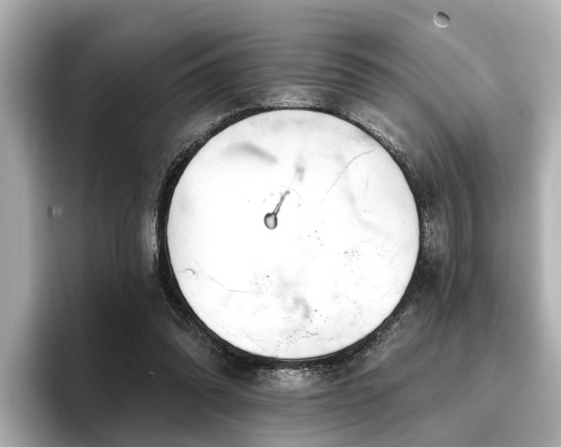 X0000096710302200802051427