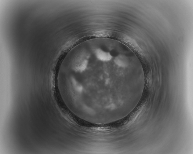 X0000096710303200802051427