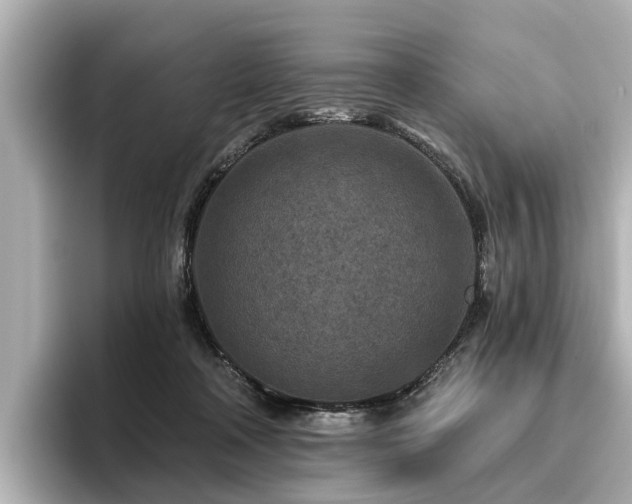 X0000096710314200802051427