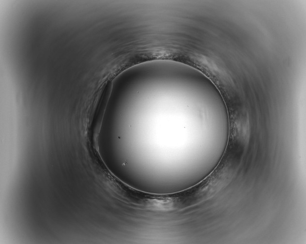 X0000096710317200802051427