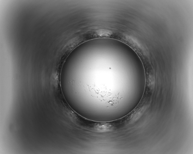 X0000096710321200802051427