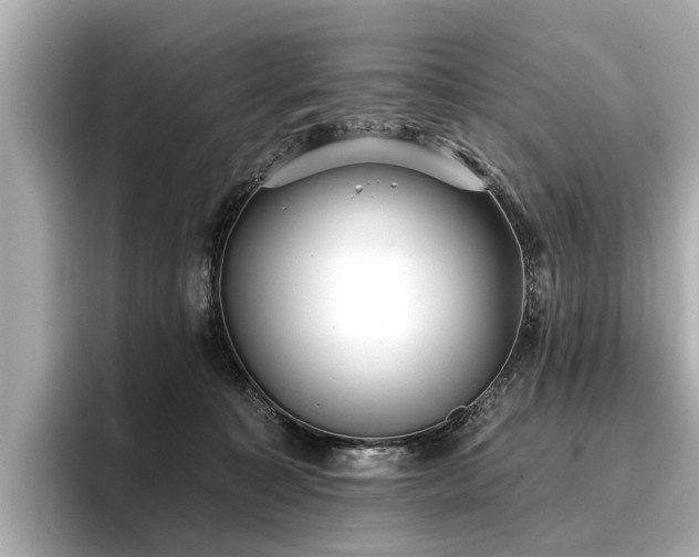 X0000096710323200802051427