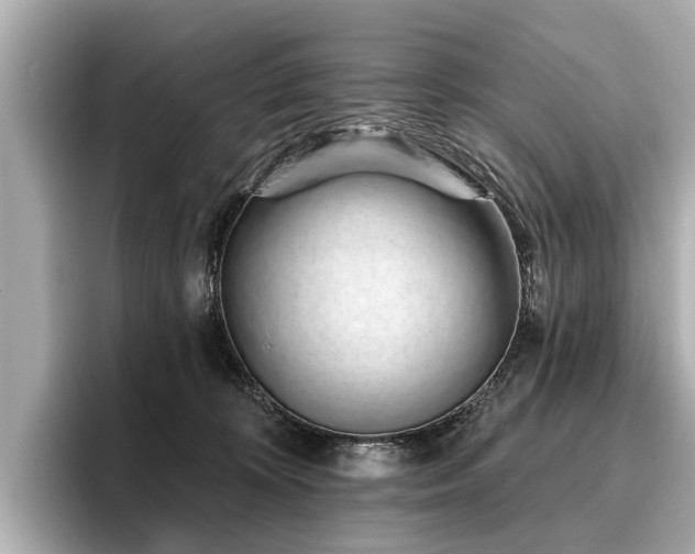 X0000096710324200802051427