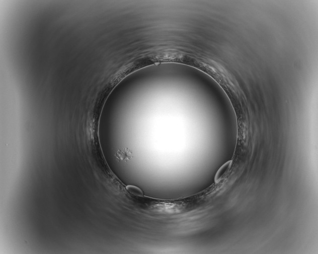 X0000096710326200802051427