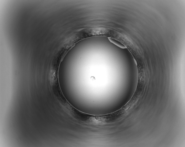 X0000096710327200802051427