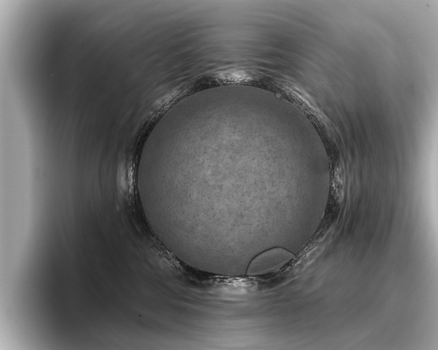 X0000096710330200802051427