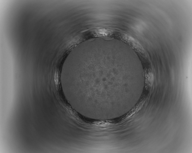 X0000096710331200802051427