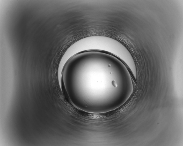 X0000096710336200802051427