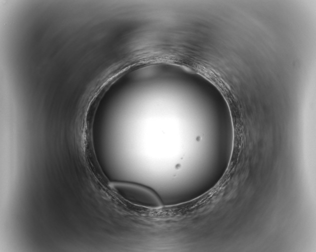 X0000096710338200802051426