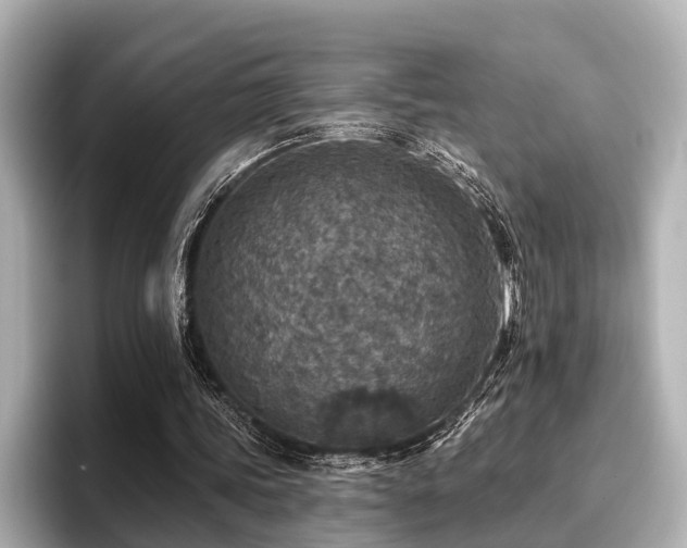 X0000096710339200802051426