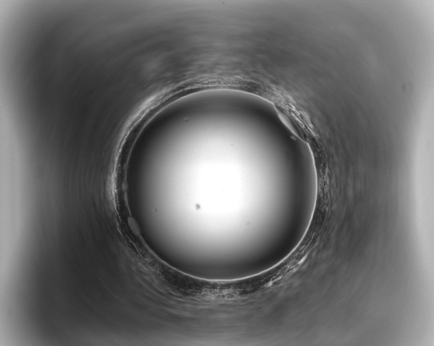 X0000096710340200802051426