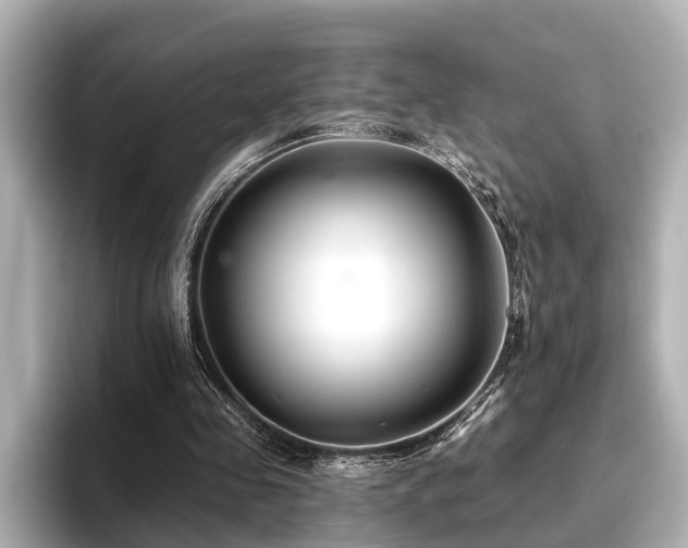 X0000096710341200802051426