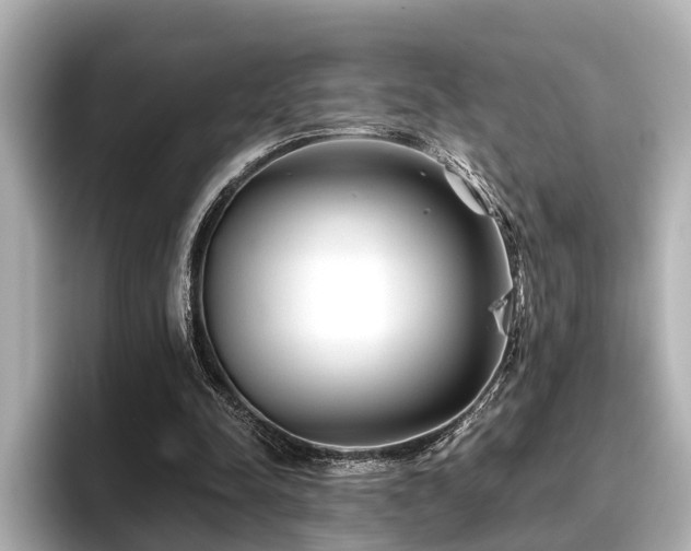 X0000096710342200802051426