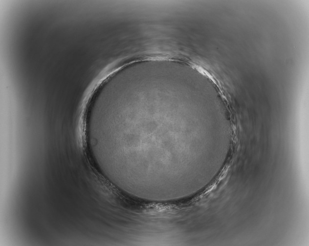 X0000096710343200802051426