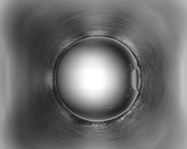 X0000096710345200802051426