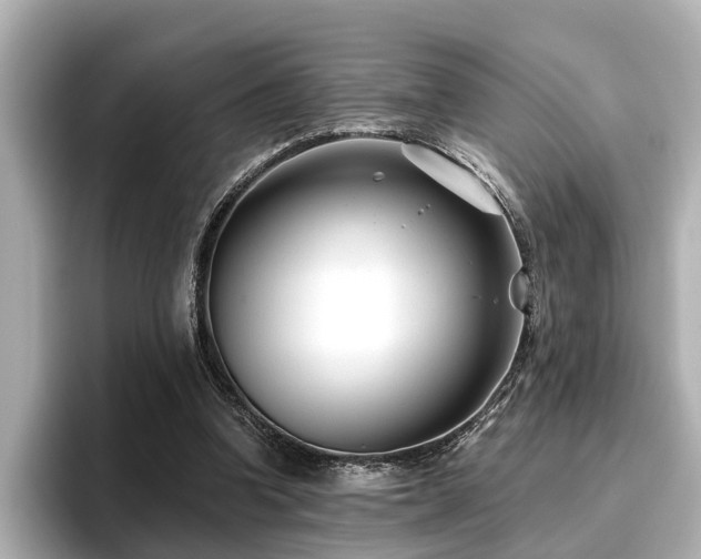 X0000096710346200802051426