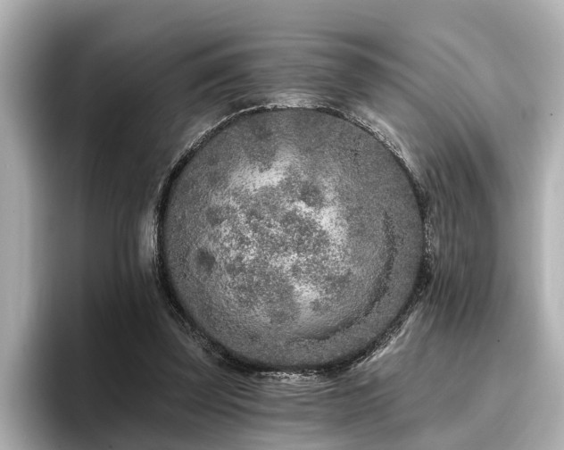 X0000096710347200802051426