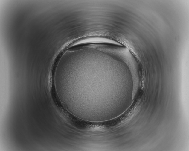 X0000096710348200802051426