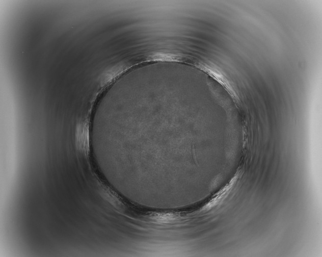 X0000096710349200802051426