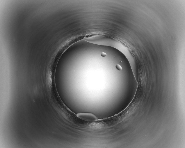 X0000096710350200802051426