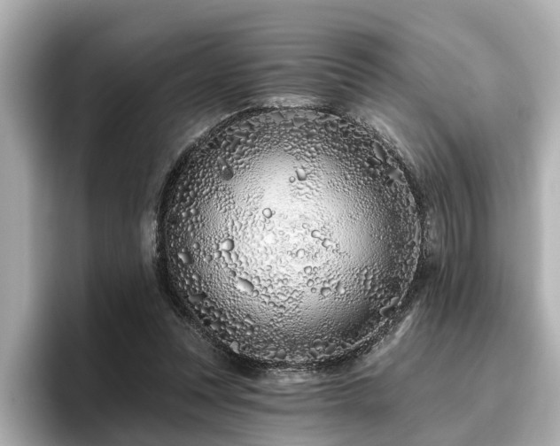 X0000096710351200802051426