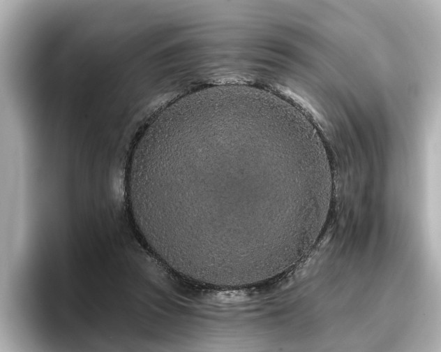 X0000096710353200802051426